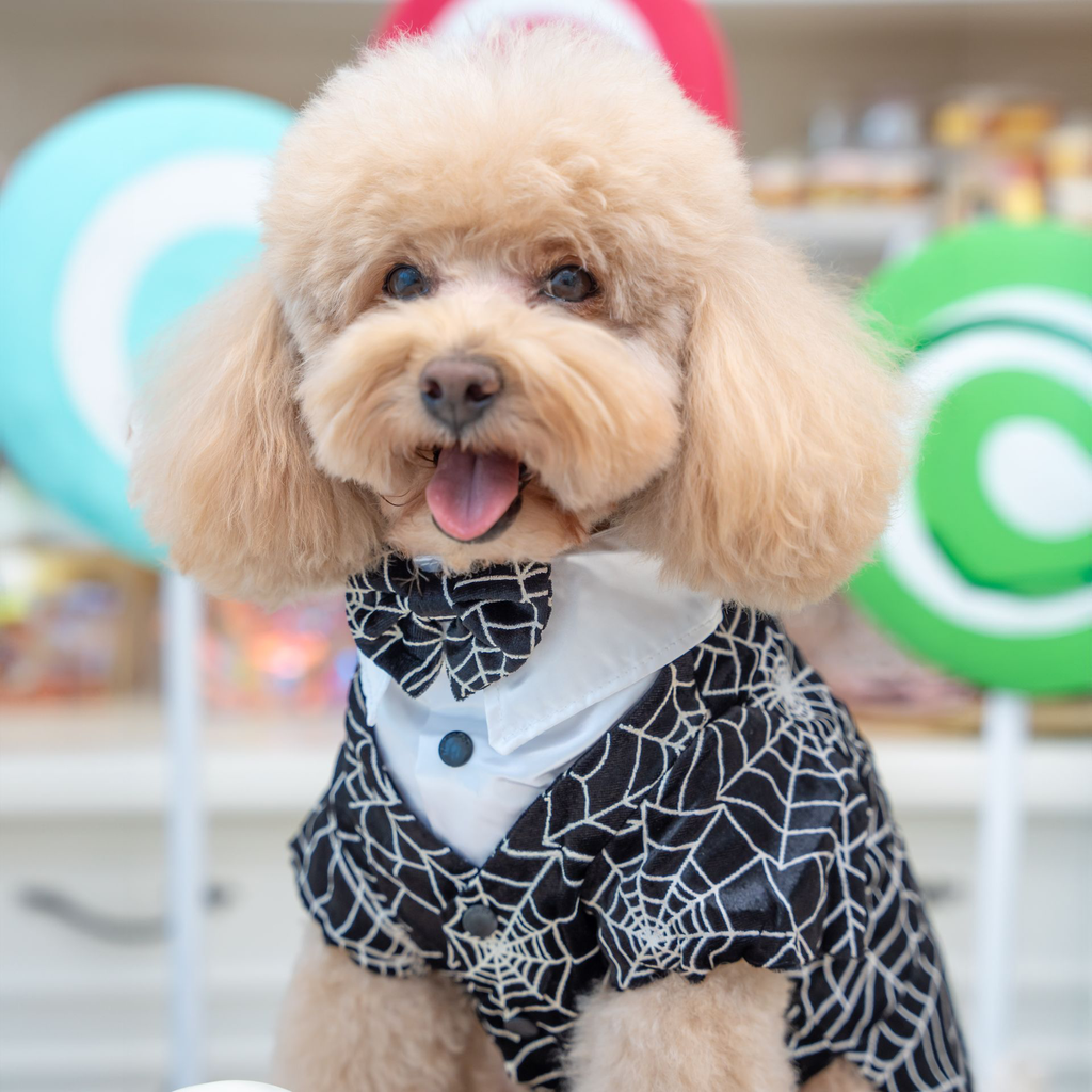 A7400070.webp