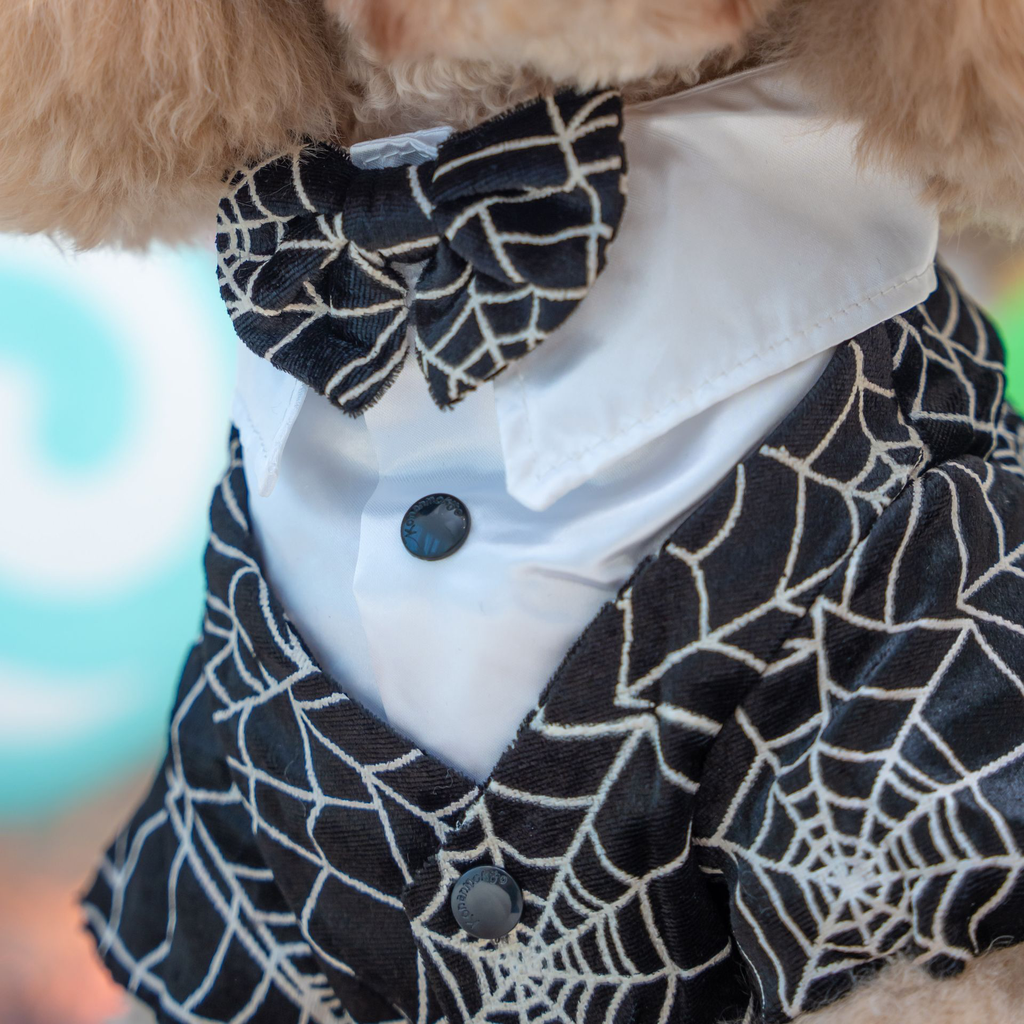 A7400067.webp