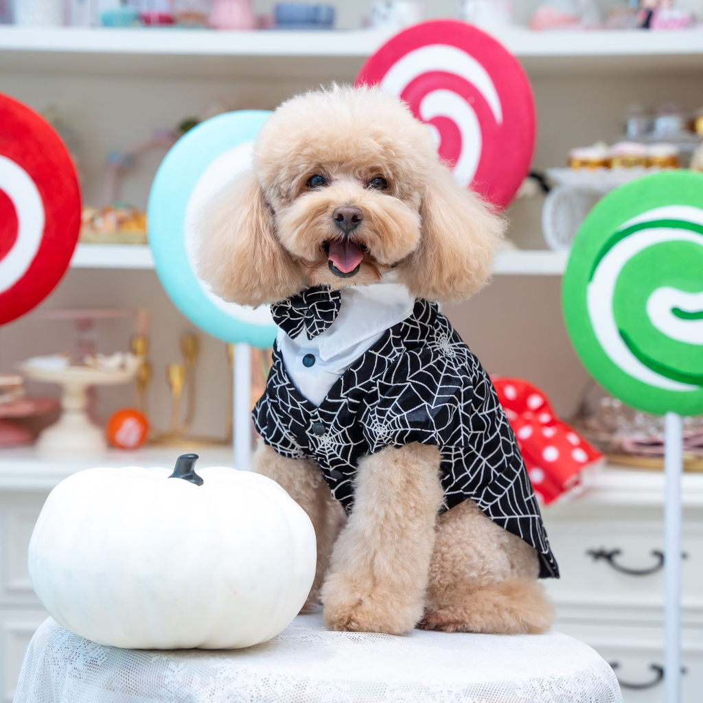 A7400060.webp
