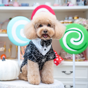 A7400053.webp