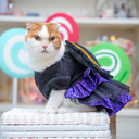 A7400138.webp