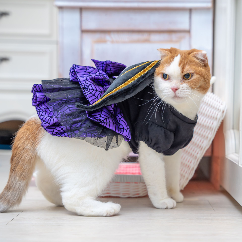 A7400080.webp