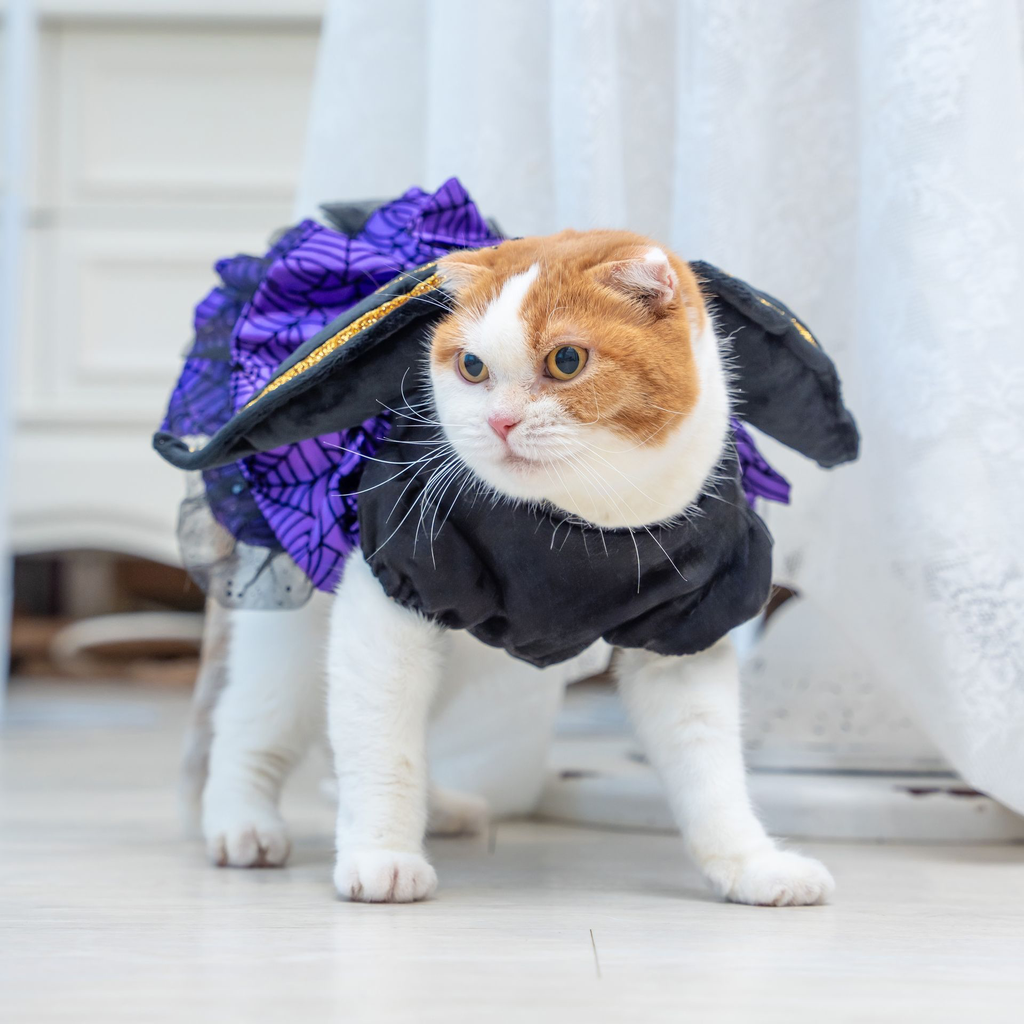 A7400086.webp