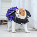 A7400086.webp