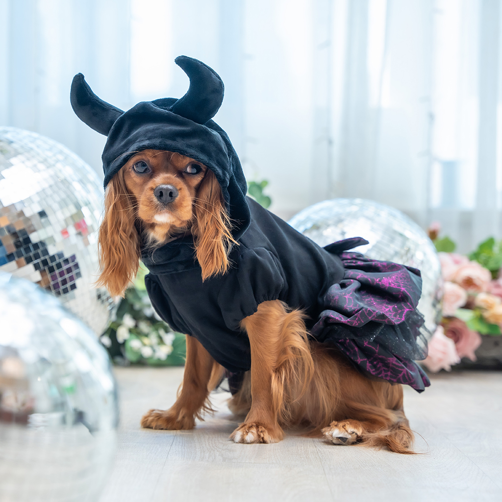 A7400709.webp