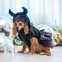 A7400709.webp