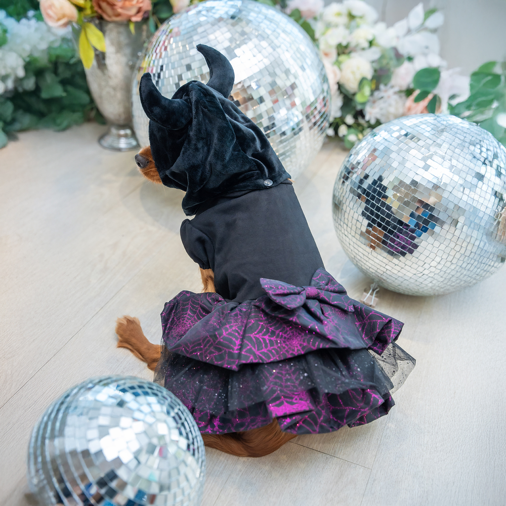 A7400721.webp