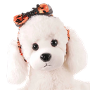 800x-3.webp