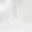 2.webp