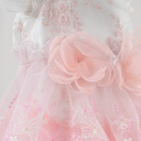 6.webp