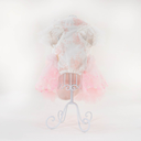 4.webp
