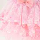 6.webp