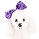 800x-3.webp