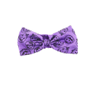 800x-1.webp