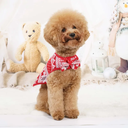 800x-4.webp