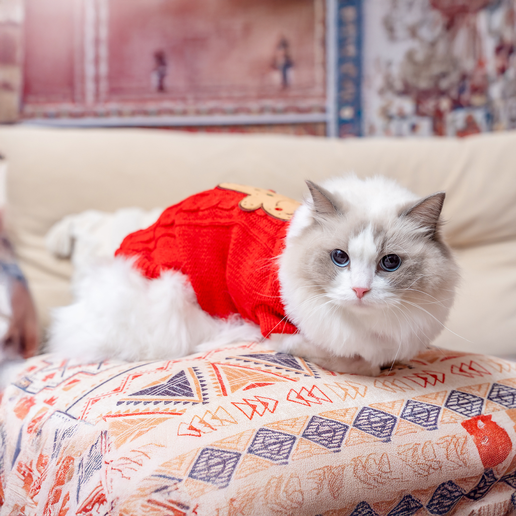 A7400275.webp