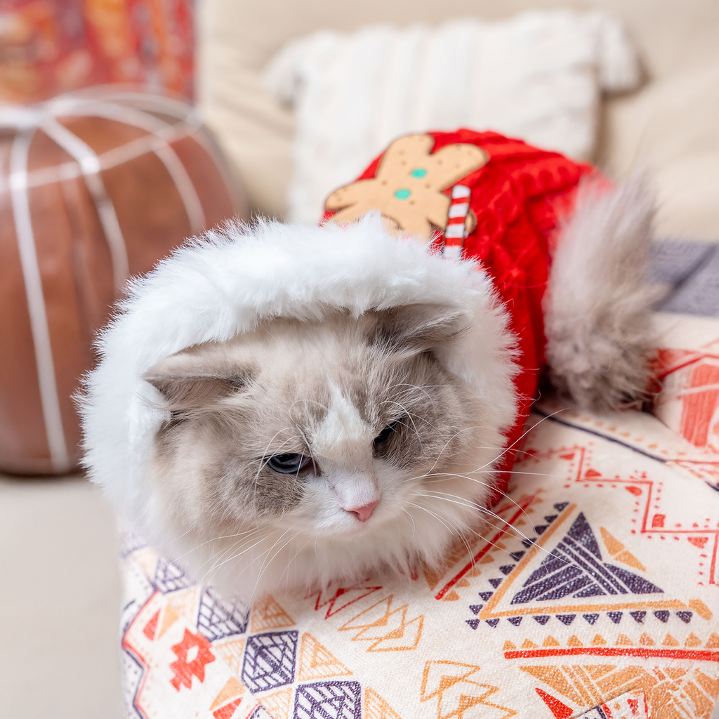 A7400302.webp