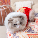 A7400302.webp