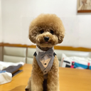 800x-3.webp