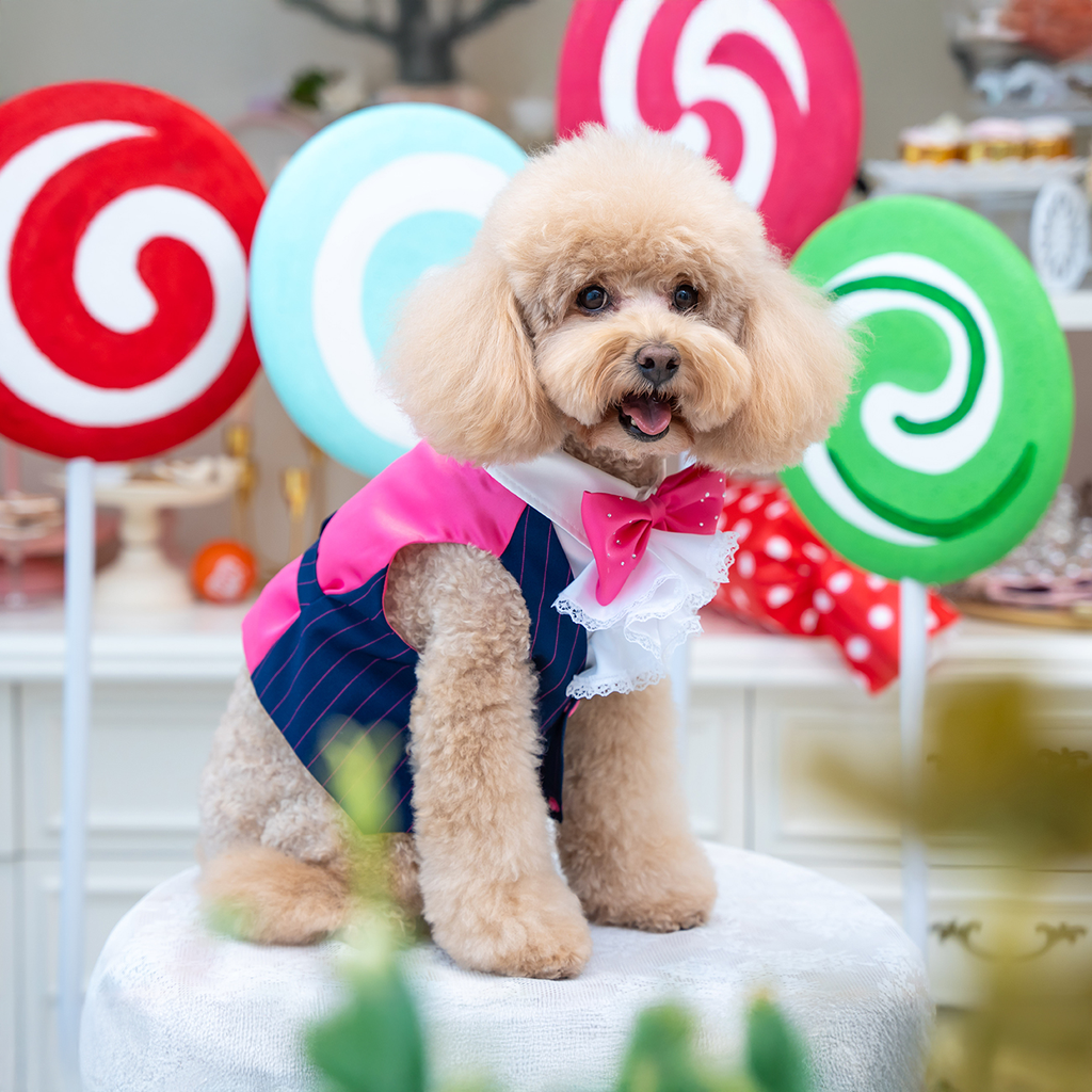 A7400022.webp