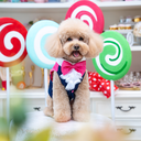 A7400005.webp