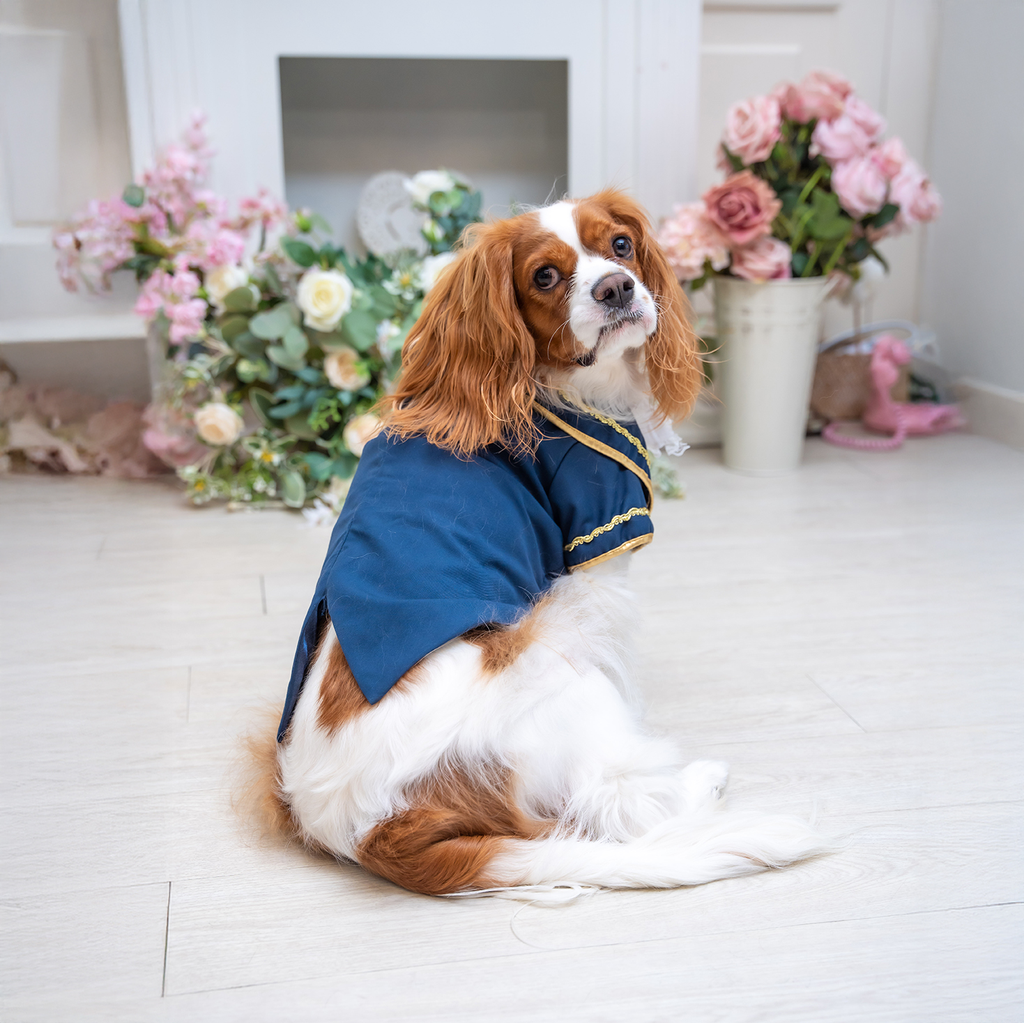 A7400234.webp