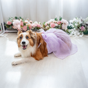 A7401415.webp