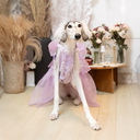 DSC08098.webp