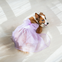 A7401410.webp