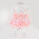 Peach Vest Dress