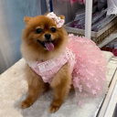 Pink Sequin Flower Dress