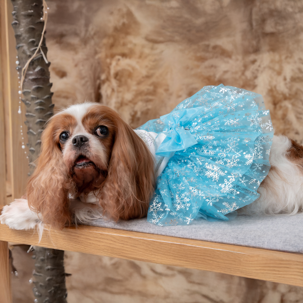 Light Blue Twinkling Snowflake Dress