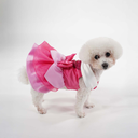 Aurora Premium Disney Costume for Pets