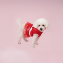 Minnie Mouse Premium Disney Harness for Pets