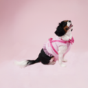 マルチプリンセスハーネス（セーラー型・犬用）