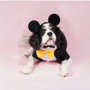 Mickey Mouse Premium Disney Costume Set for Pets