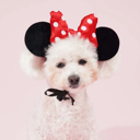 Minnie Mouse Premium Disney Ears Head Accessory for Pets