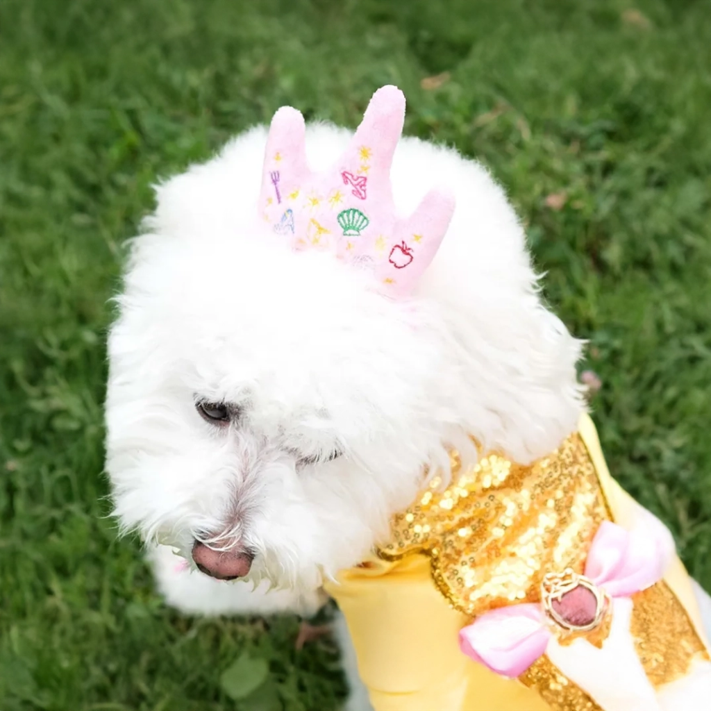 ペット用ディズニープリンセスプレミアムクラウンヘッドアクセサリー