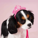 Aurora Premium Disney Head Accessory for Pets, Sleeping Beauty