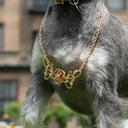 Belle Premium Disney Metal Necklace for Pets