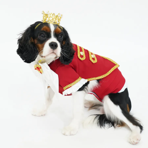 Noble Prince Red Tuxedo