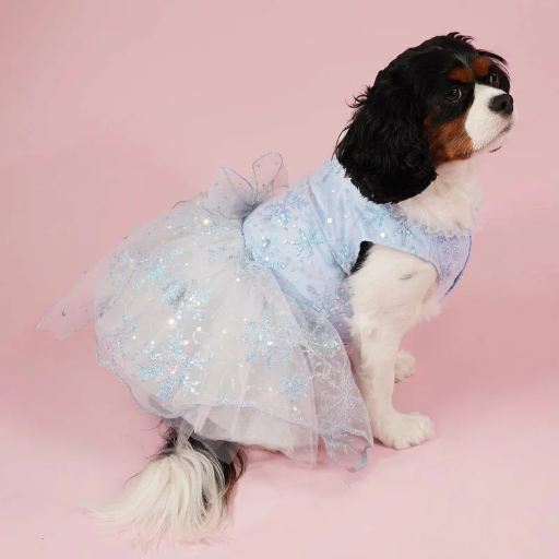 Blue Sequin Snowflakes Dress