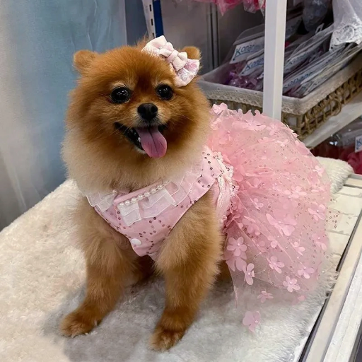 Pink Sequin Flower Dress