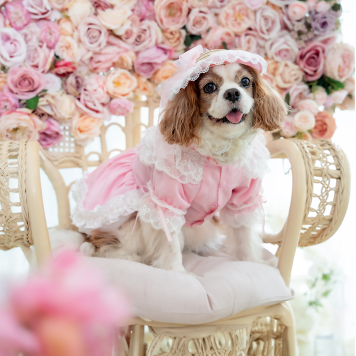 Pink Long Sleeve Lace Dress (excluded the hat)