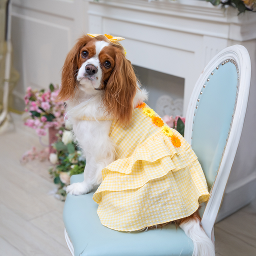 Yellow Layer Dress with hat