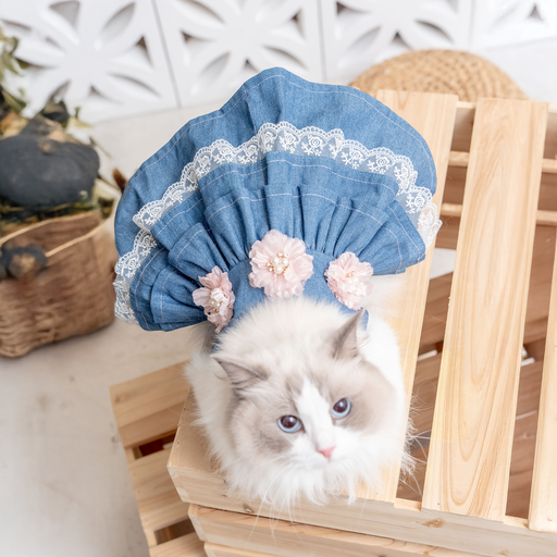 Denim Layer Dress