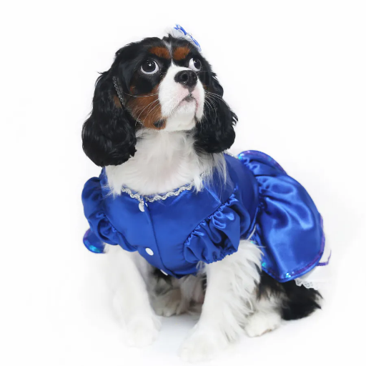 Royal Blue Princess Dress
