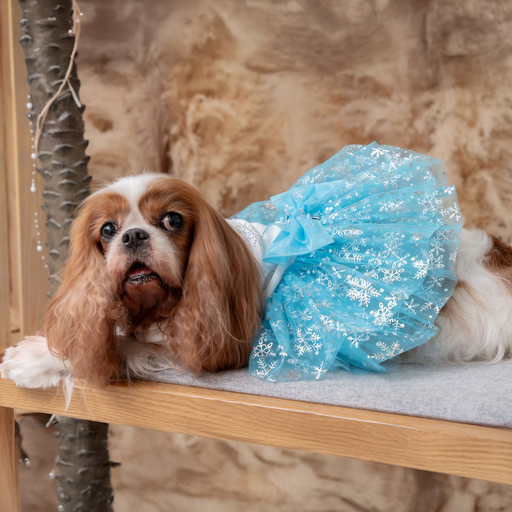 Light Blue Twinkling Snowflake Dress