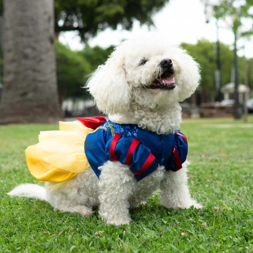 Snow White Premium Disney Costume for Pets