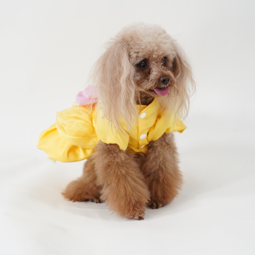 Belle Premium Disney Costume for Pets, Beauty and the Beast